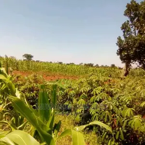 Plot's in Gayaza Kijabijo