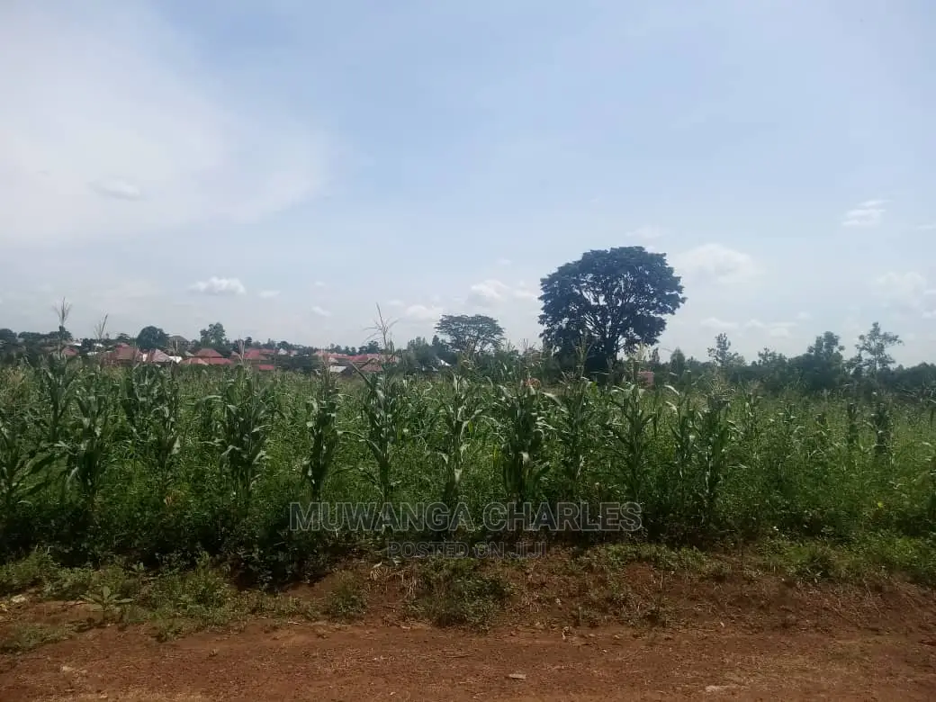 Plot's in Gayaza Kijabijo