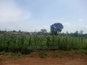 Plot's in Gayaza Kijabijo