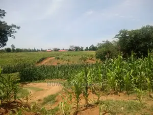 Plot's in Gayaza Kijabijo