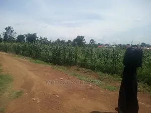Plot's in Gayaza Kijabijo