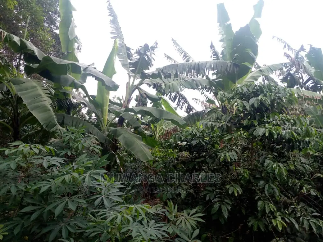 5acres for Sale at Kikyusa