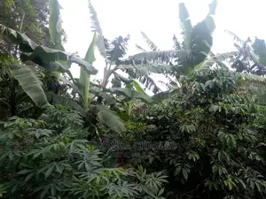5acres for Sale at Kikyusa