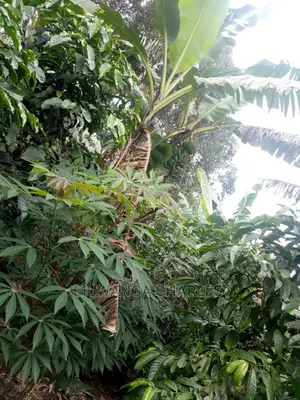 5acres for Sale at Kikyusa