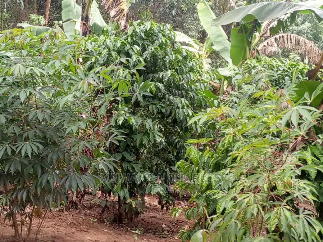 5acres for Sale at Kikyusa