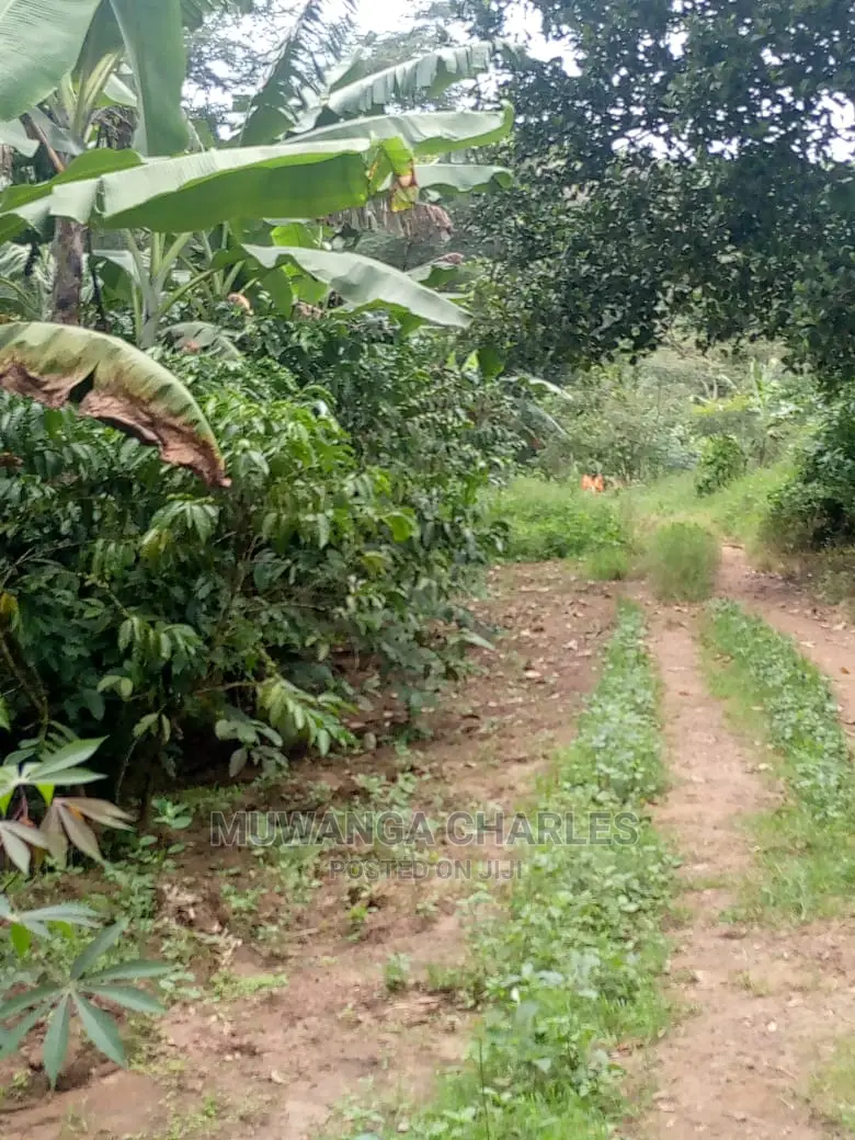 5acres for Sale at Kikyusa