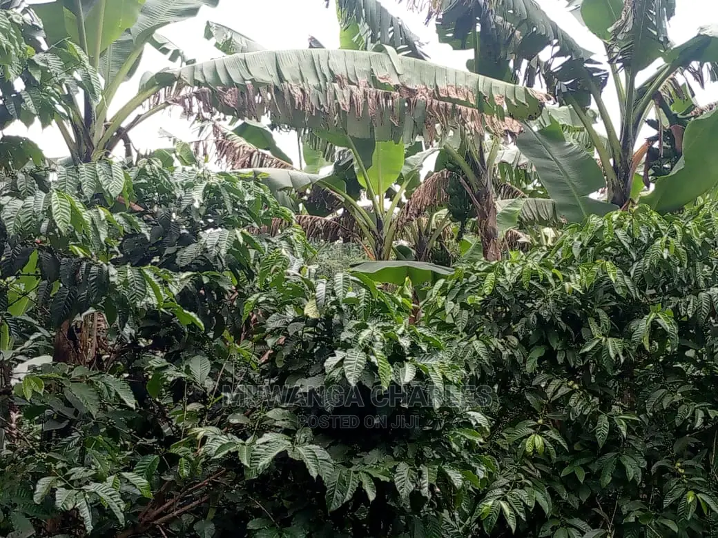 5acres for Sale at Kikyusa