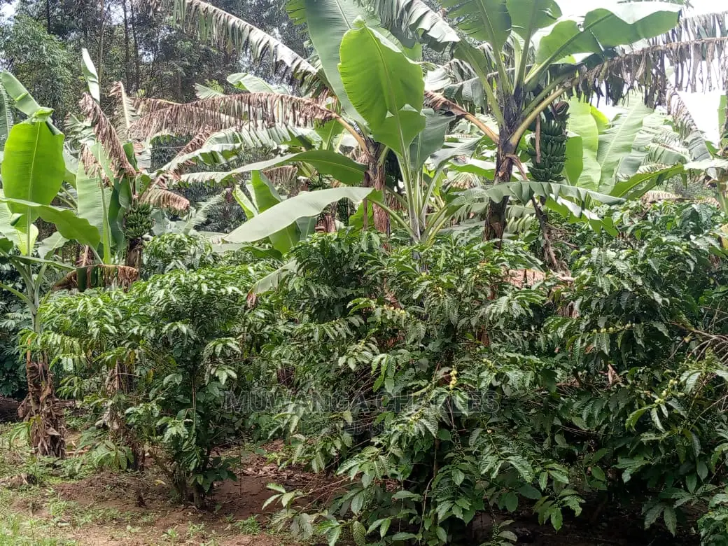 5acres for Sale at Kikyusa