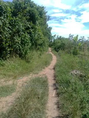 3acres of Land for Sale in Wabutungulu