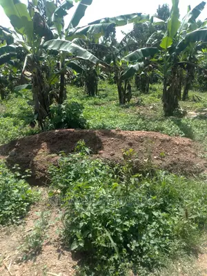 3acres of Land for Sale in Wabutungulu
