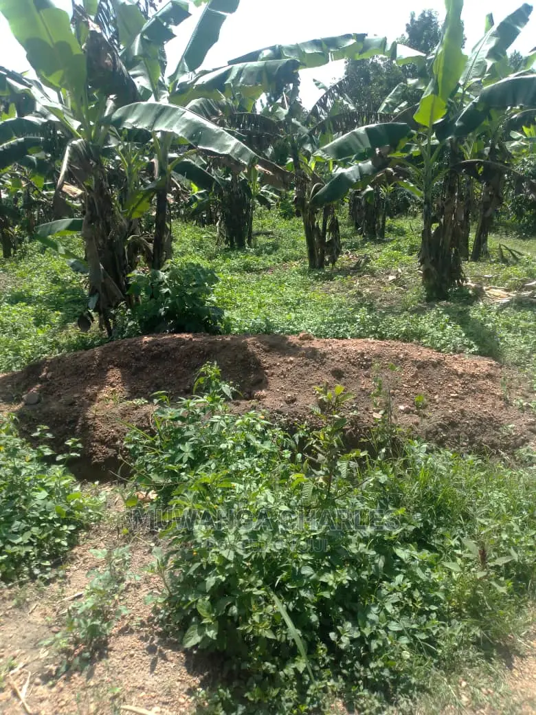 3acres of Land for Sale in Wabutungulu