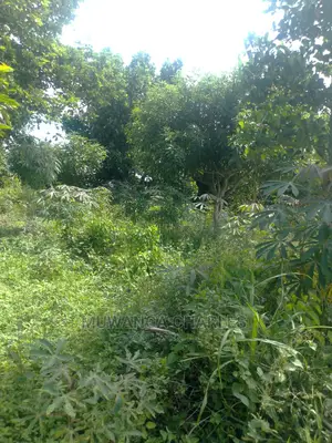 3acres of Land for Sale in Wabutungulu