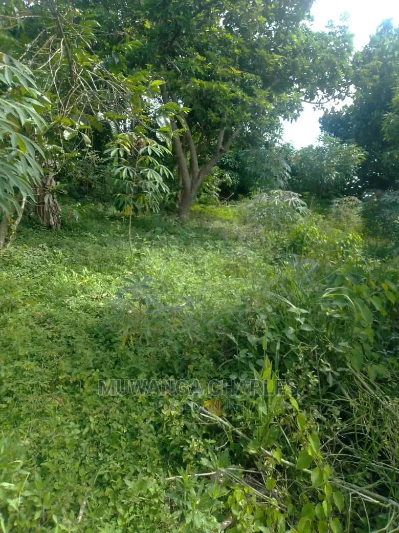 3acres of Land for Sale in Wabutungulu