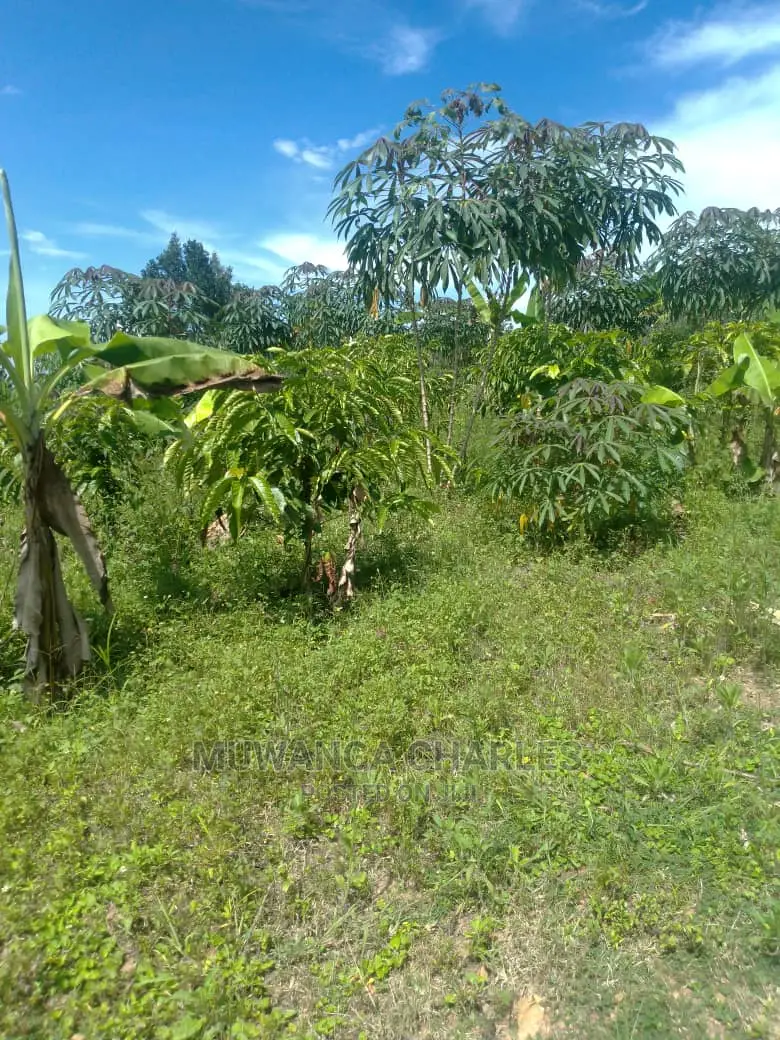 3acres of Land for Sale in Wabutungulu