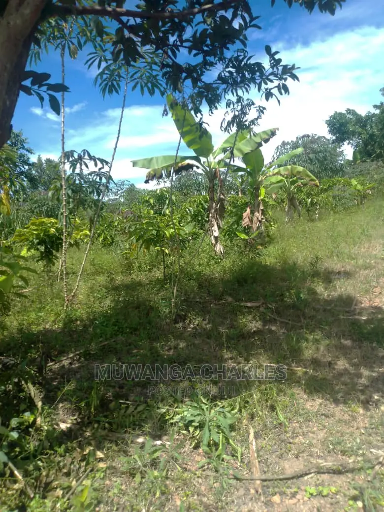3acres of Land for Sale in Wabutungulu