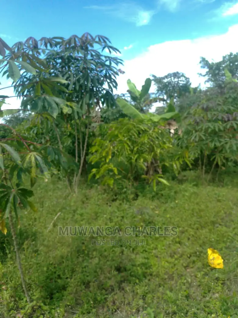 3acres of Land for Sale in Wabutungulu