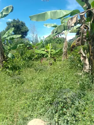 3acres of Land for Sale in Wabutungulu