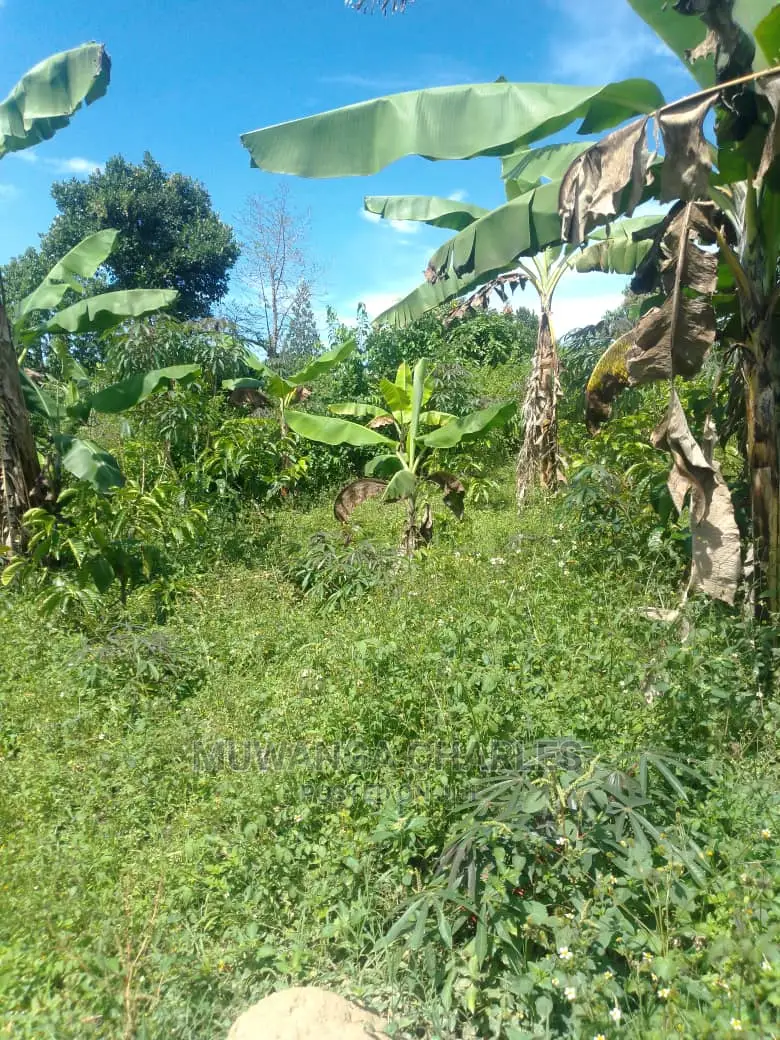 3acres of Land for Sale in Wabutungulu