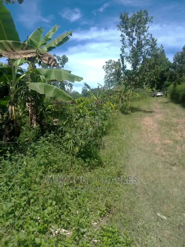 3acres of Land for Sale in Wabutungulu