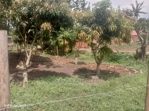 Hot Deal 100by100ft Plot of Land for Sale at Kitetika