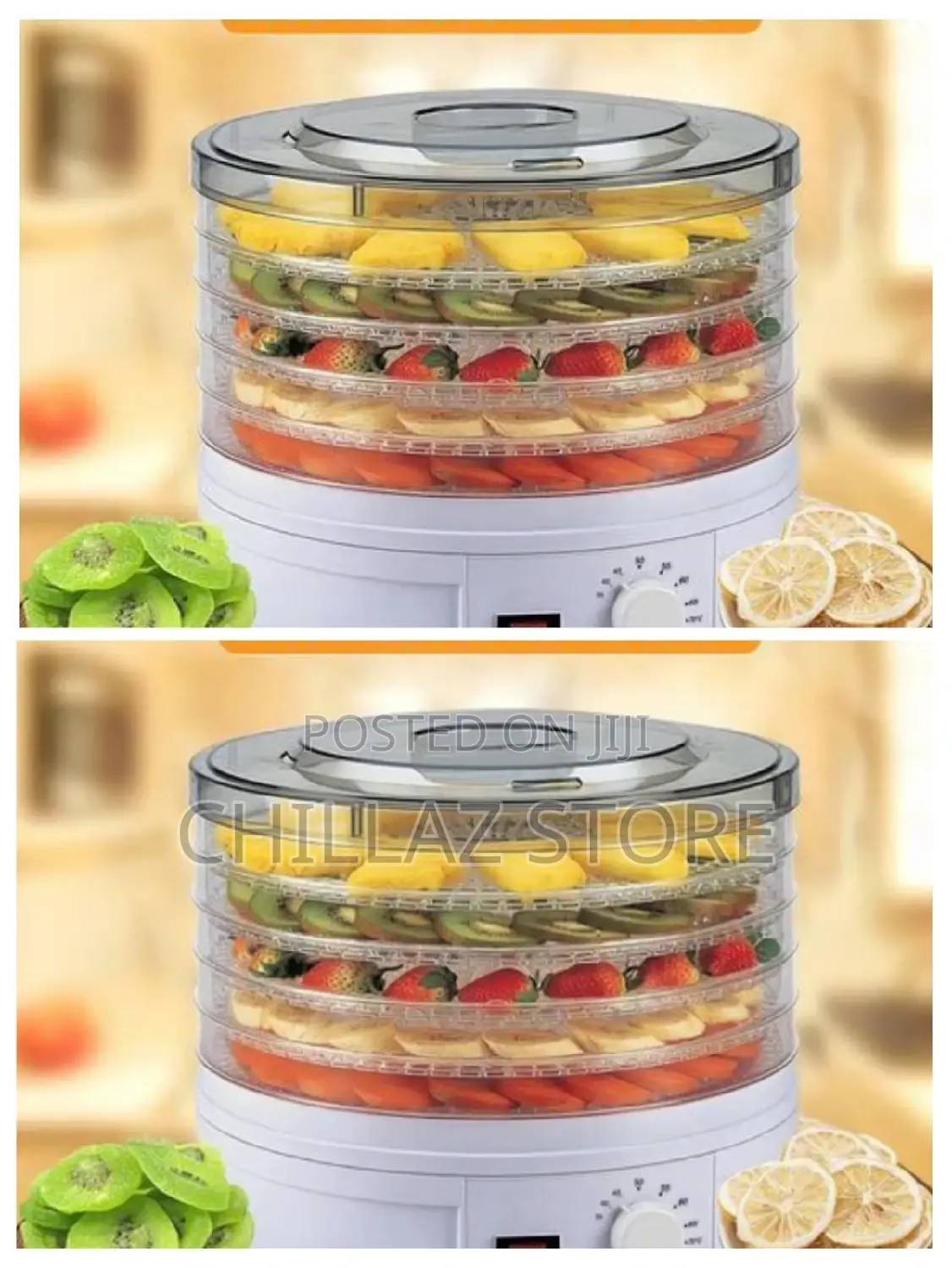 Electric Food Dehydrator.