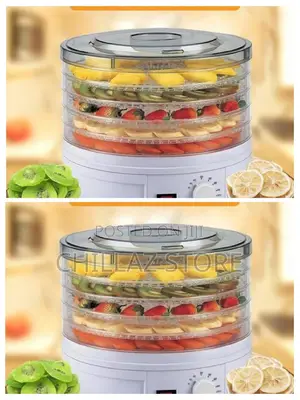 Electric Food Dehydrator.