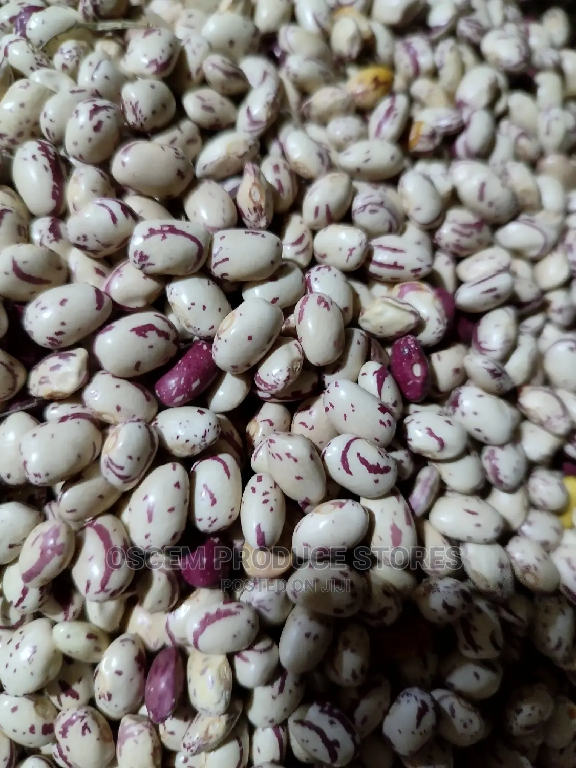 Masavu Beans