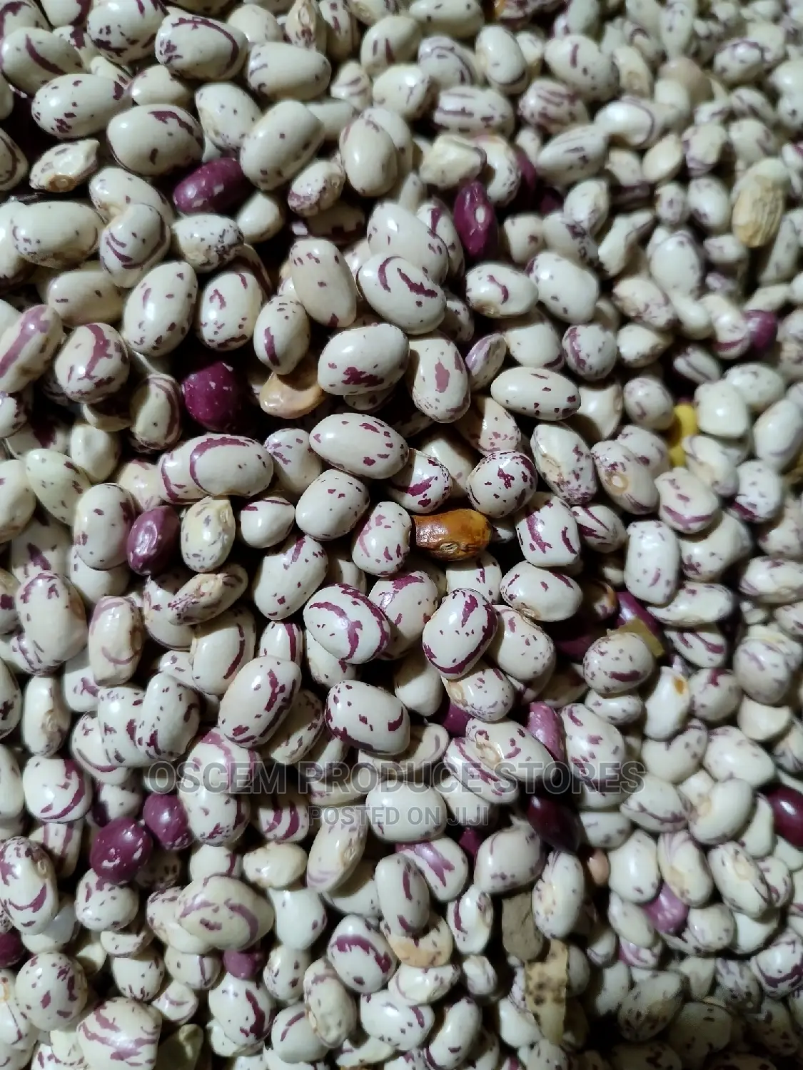 Masavu Beans