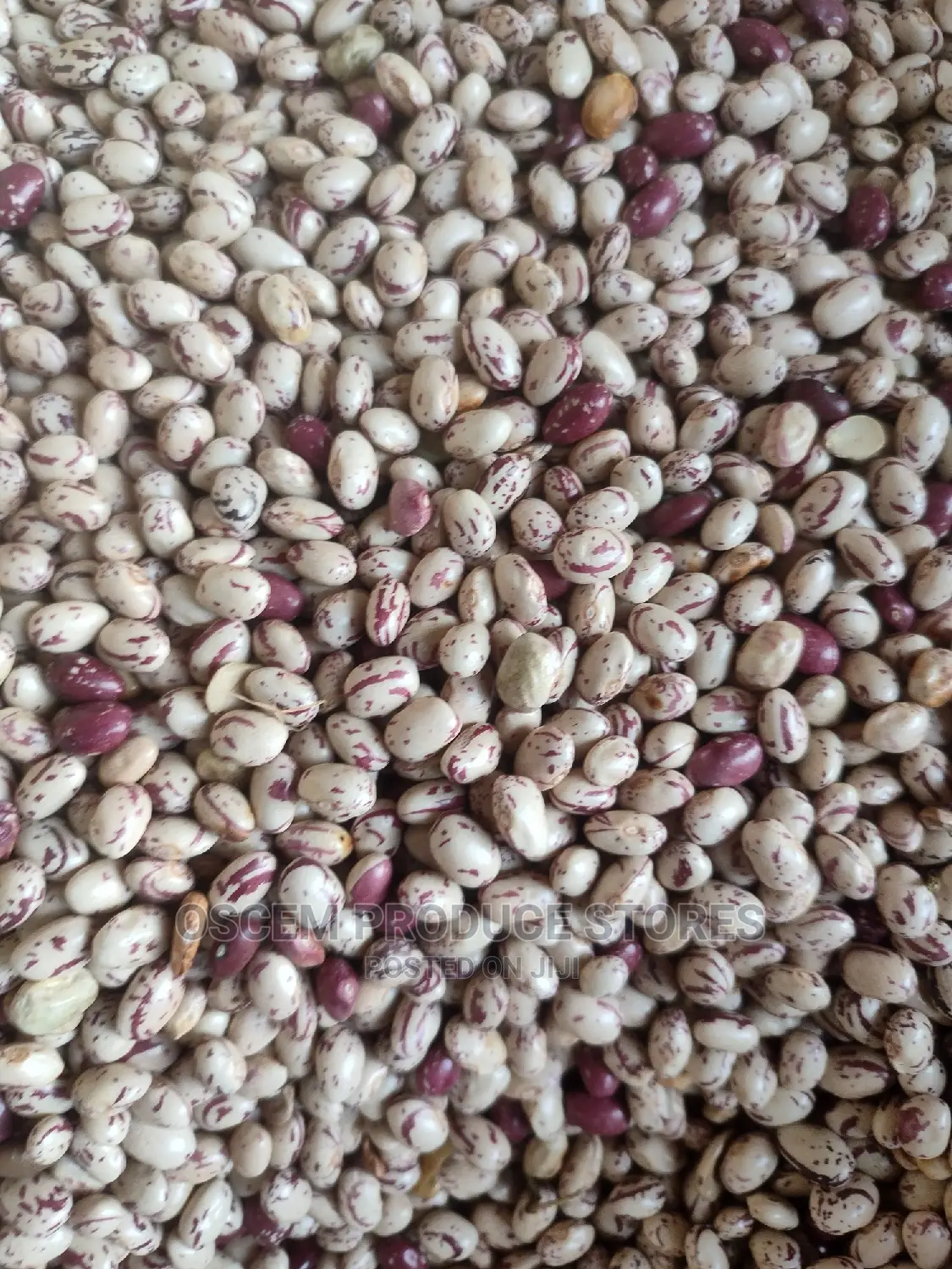 Masavu Beans