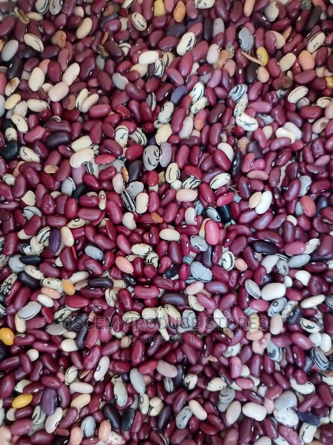Mixed Beans