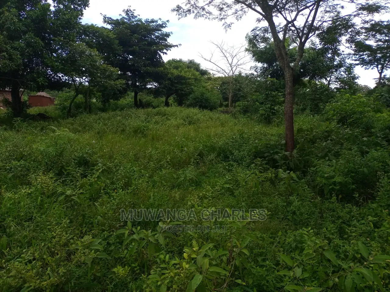100acres of Land for Sale at Luwero Mazzi