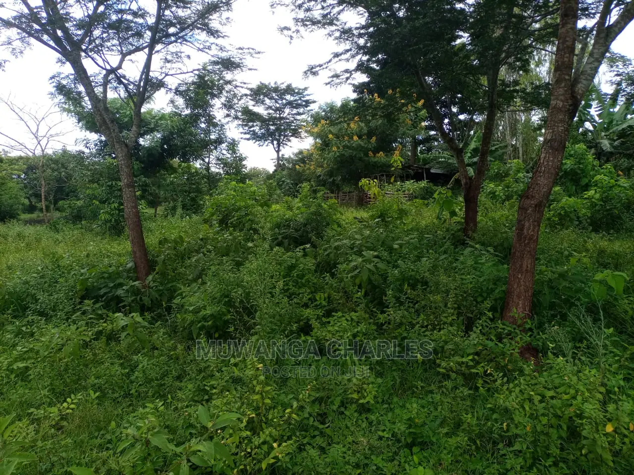 100acres of Land for Sale at Luwero Mazzi