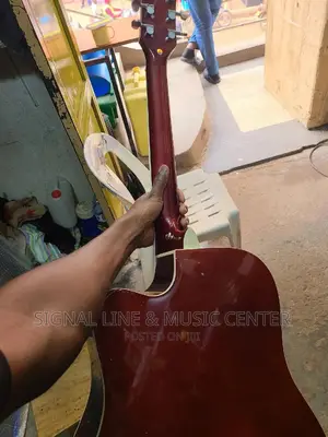 Acoustic Guitar