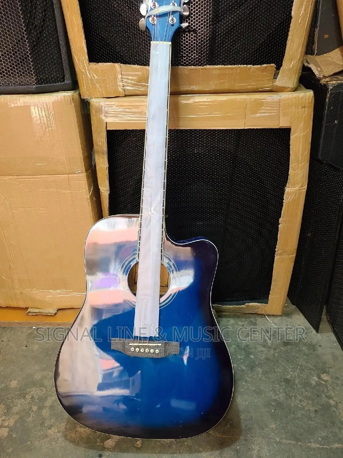 Acoustic Guitar