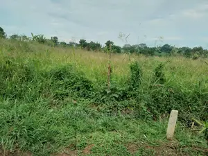 100acres for Sale in Luwero