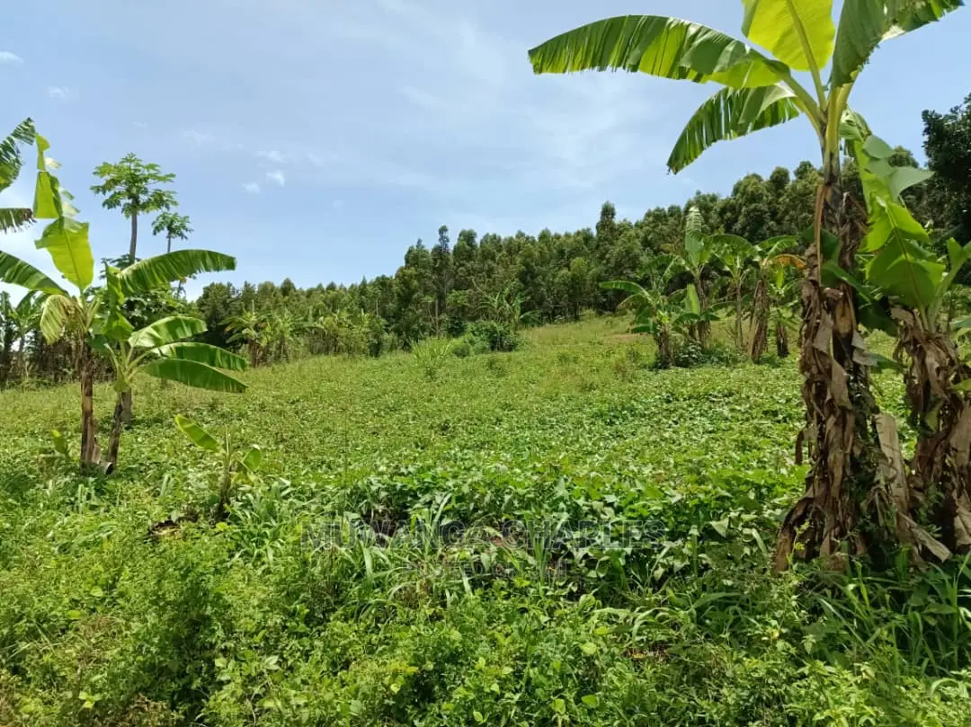 100acres for Sale in Luwero