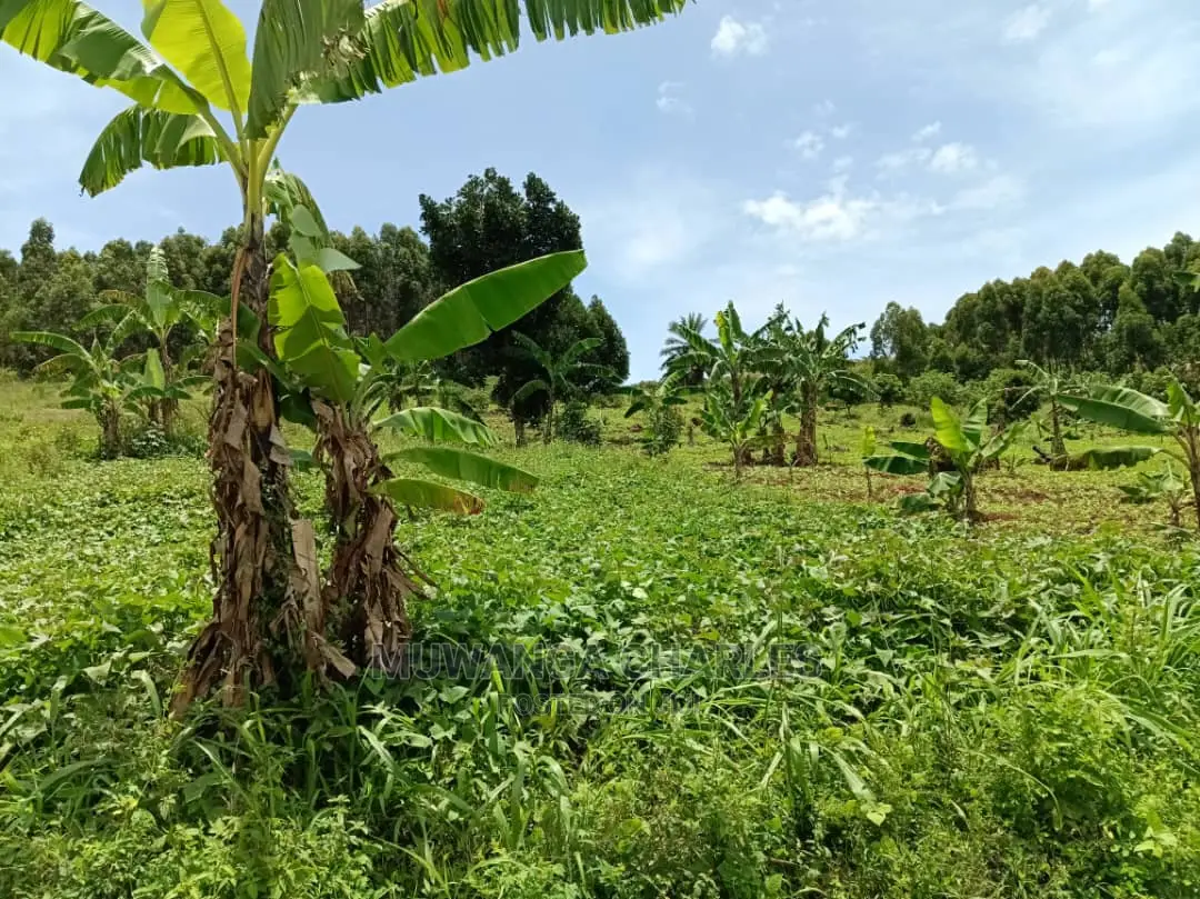100acres for Sale in Luwero