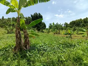 100acres for Sale in Luwero