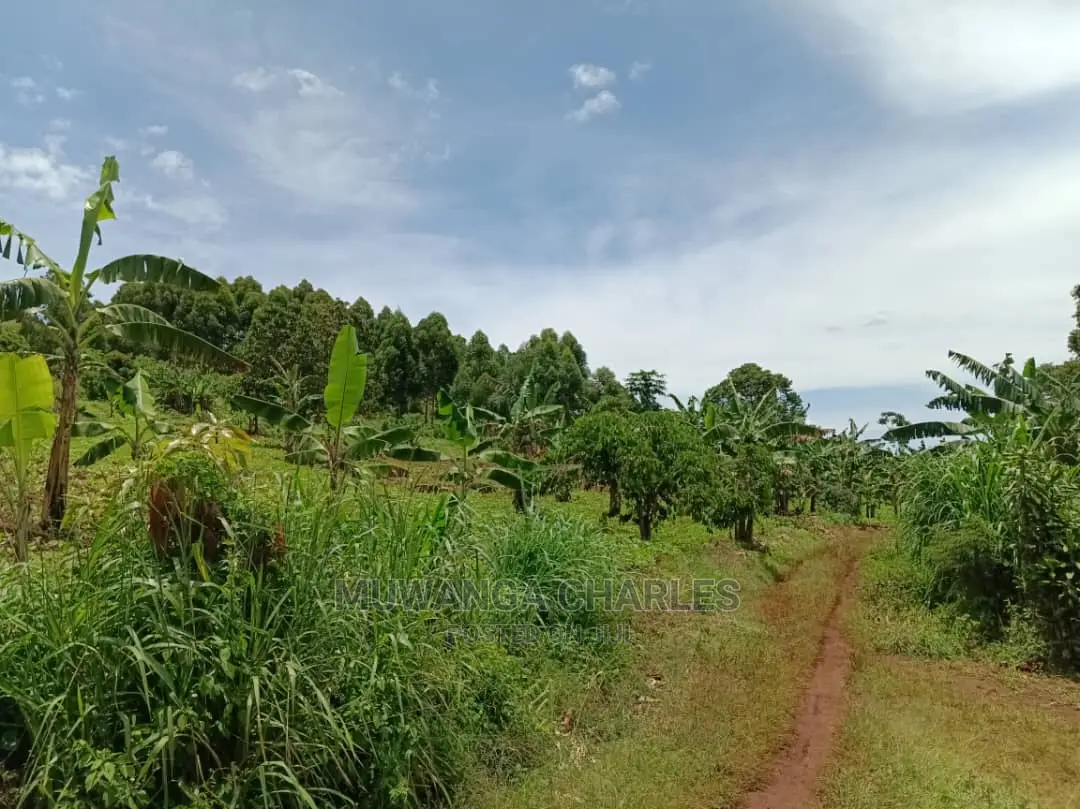 100acres for Sale in Luwero