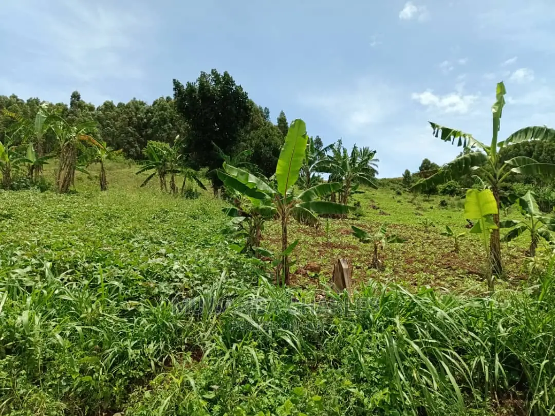 100acres for Sale in Luwero