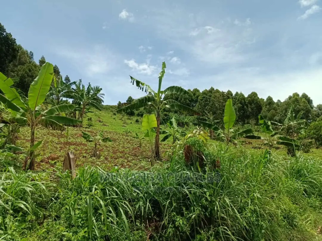 100acres for Sale in Luwero