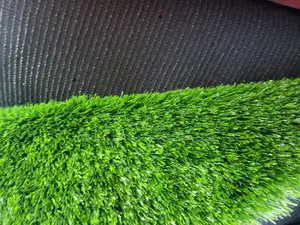 Grass Carpet/Artificial Grass/Grass Carpet