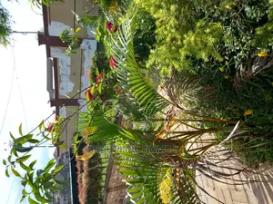 Furnished 4bdrm Mansion in Kira Wealthy for sale