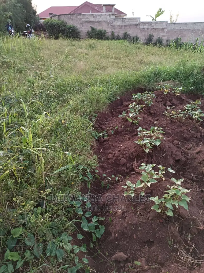 Plot's in Gayaza Kabubu