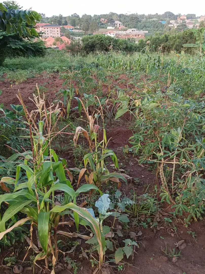 Plot's in Gayaza Kabubu