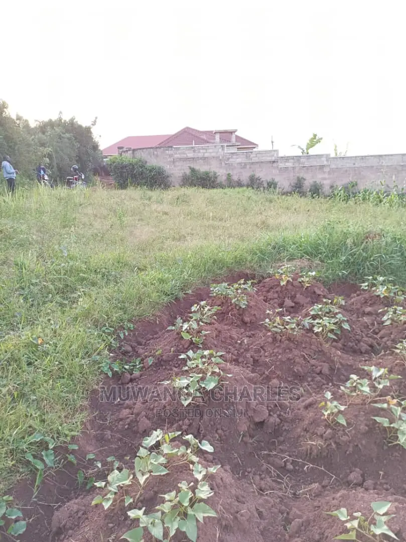 Plot's in Gayaza Kabubu
