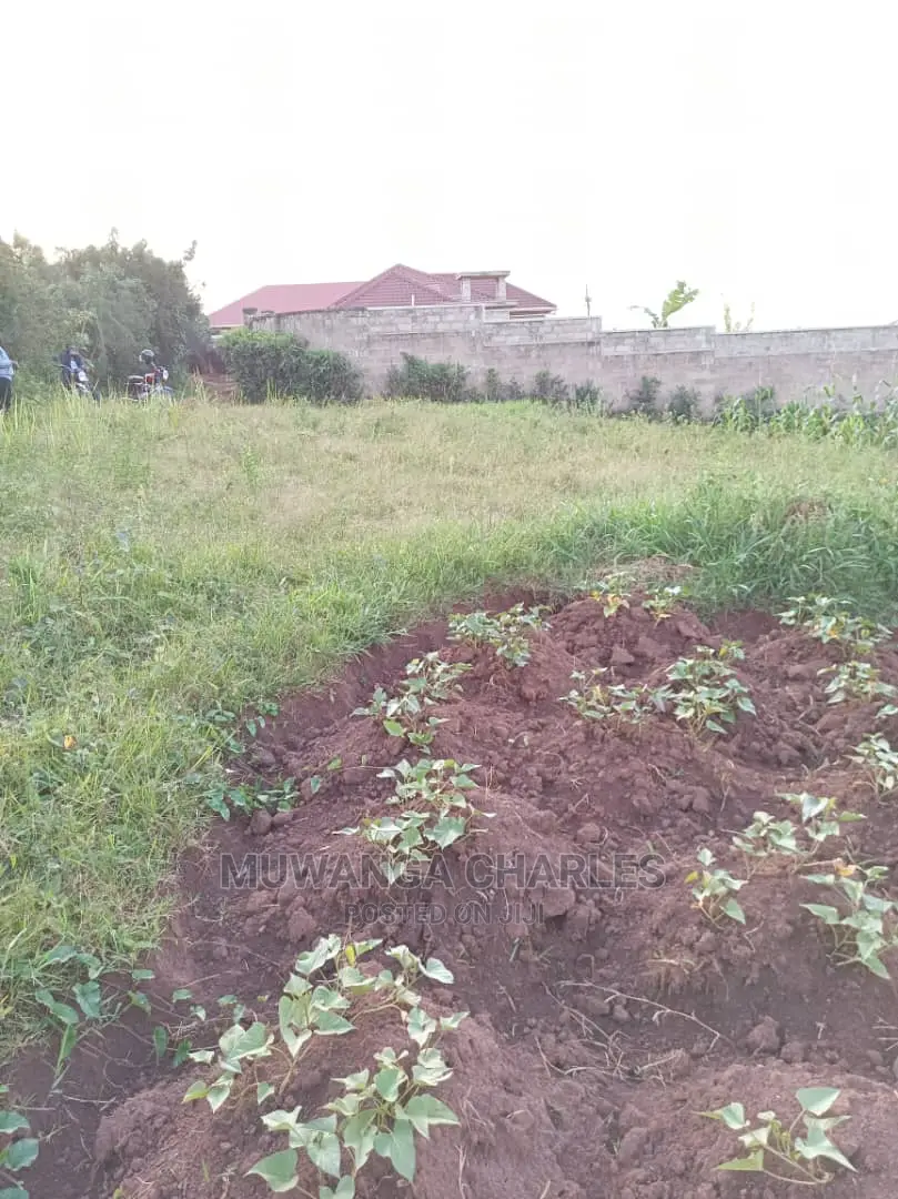 Plot's in Gayaza Kabubu