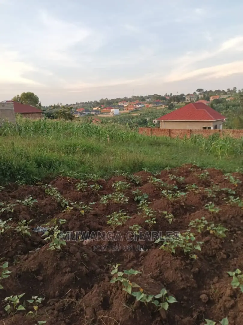 Plot's in Gayaza Kabubu