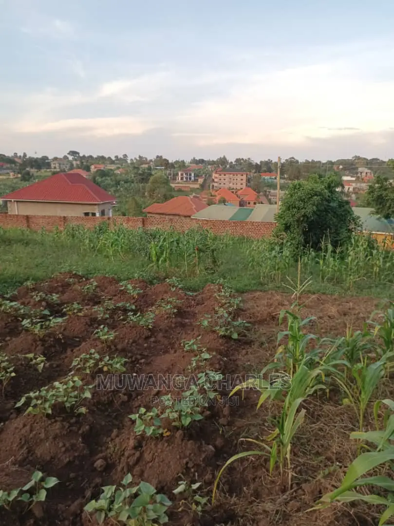 Plot's in Gayaza Kabubu