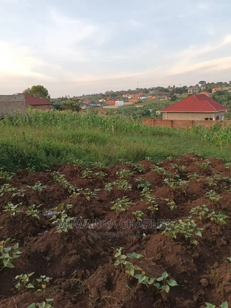Plot's in Gayaza Kabubu